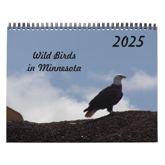 Wild Birds in Minnesota 2025 Calendar (Cover)