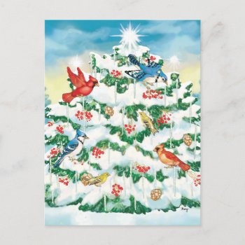 Wild Birds In Nature With Starlit Christmas Tree Holiday Postcard by gingerbreadwishes at Zazzle