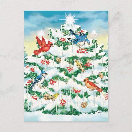 Wild Birds In Nature With Starlit Christmas Tree Holiday Postcard