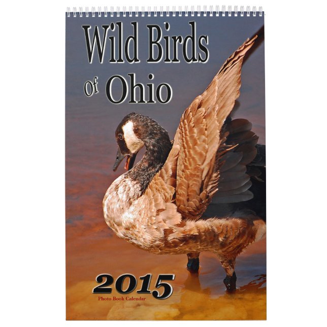 Wild Birds Of Ohio Calendar (Cover)