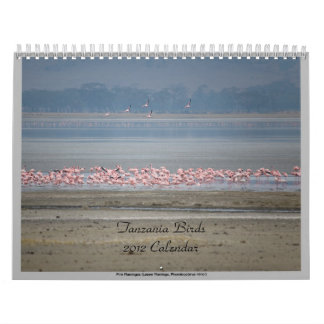 Wild Birds of Tanzania Calendar