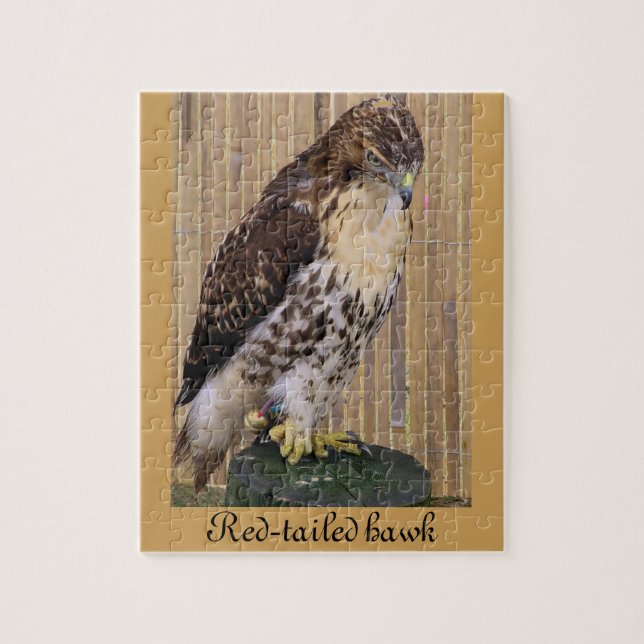 Wild Birds: Red-Tailed Hawk Jigsaw Puzzle (Vertical)