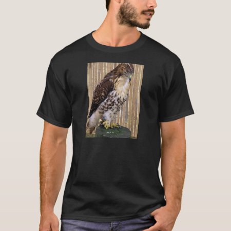 Wild Birds: Red-tailed Hawk T-shirt