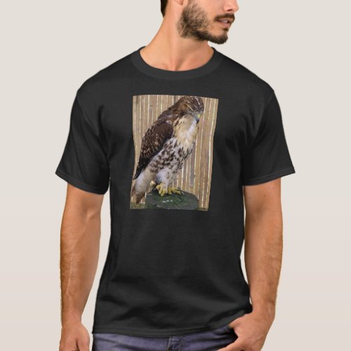 Wild Birds Red_Tailed Hawk T_Shirt