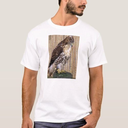 Wild Birds Red_Tailed Hawk T_Shirt