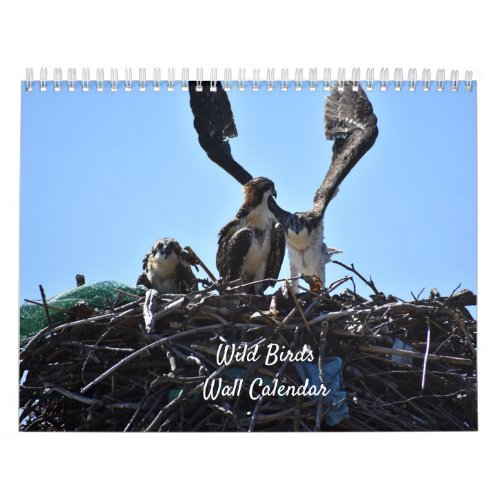 Wild Birds Wall Calendar