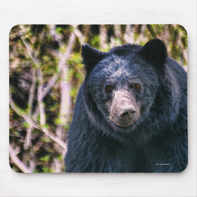Wild Black Bear and Trees Wildlife Art Mouse Pad (Front)