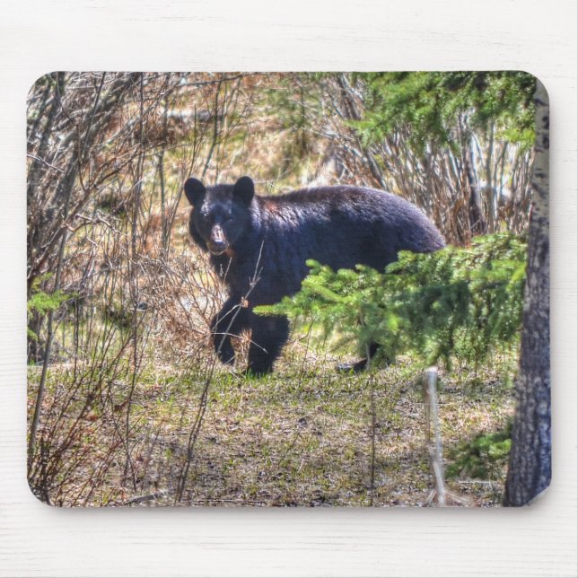 Wild Black Bear and Trees Wildlife Photo Mouse Pad (Front)