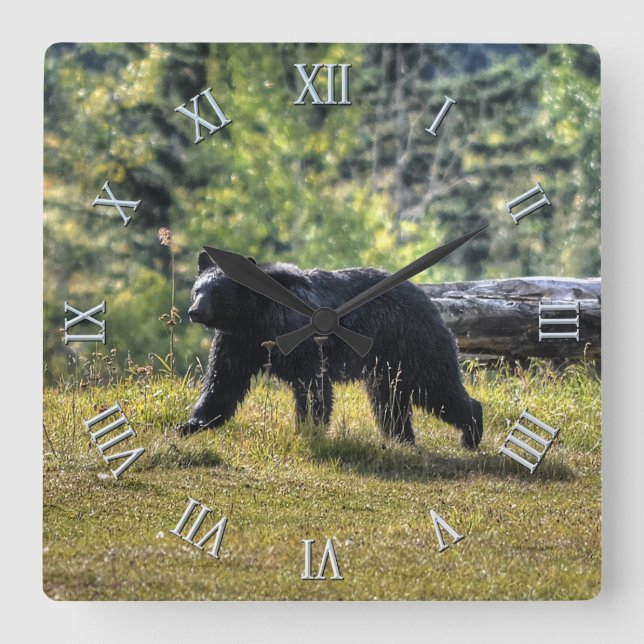 Wild Black Bear & Canadian Forest Photo Art Square Wall Clock (Front)