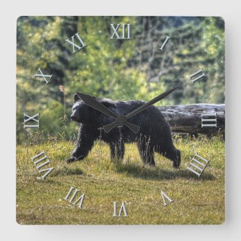 Wild Black Bear & Canadian Forest Photo Art Square Wall Clock by RavenSpiritPrints at Zazzle