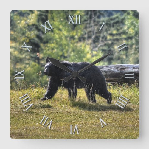 Wild Black Bear  Canadian Forest Photo Art Square Wall Clock