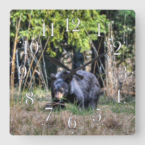 Wild Black Bear Cub  Forest Wildlife Photo Clock