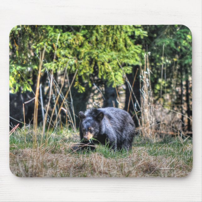 Wild Black Bear Cub & Forest Wildlife Photo #Gift Mouse Pad (Front)