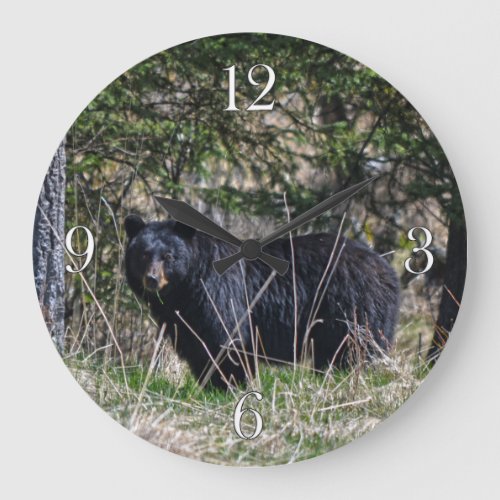 Wild Black Bear  Forest Wildlife Photo Wall Clock