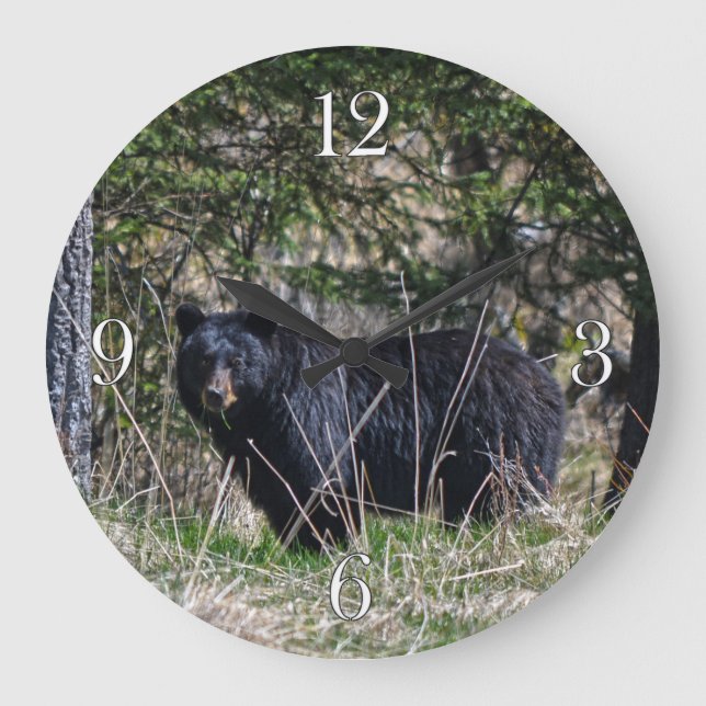 Wild Black Bear & Forest Wildlife Photo Wall Clock (Front)