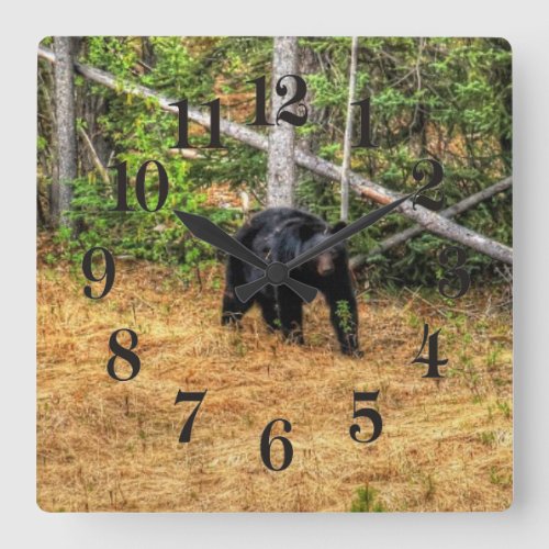Wild Black Bear  Yukon Forest Photo Art Square Wall Clock