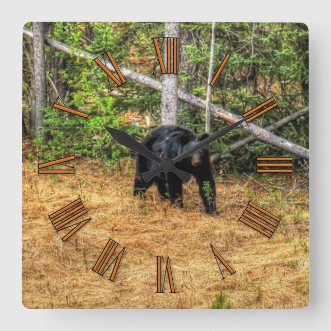 Wild Black Bear & Yukon Forest Photo Art Square Wall Clock (Front)