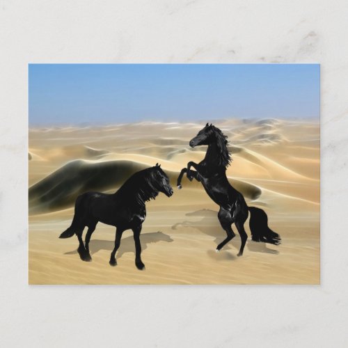 Wild black beauty horses postcard