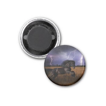 Wild Black Horse Magnet by GetArtFACTORY at Zazzle