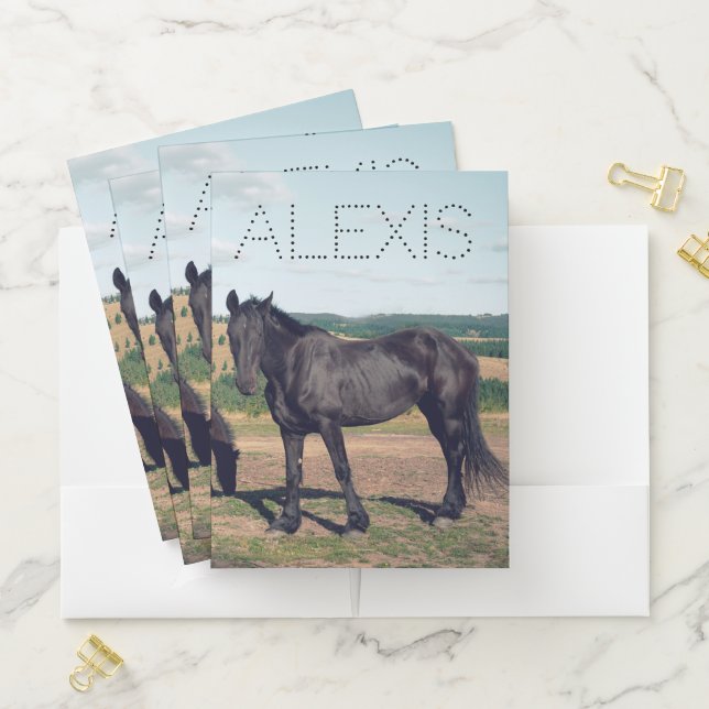 Wild Black Horses  Pocket Folder (In Situ)