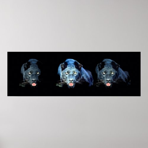 Wild Black Jaguar Cat Eyes Blue Tones Poster