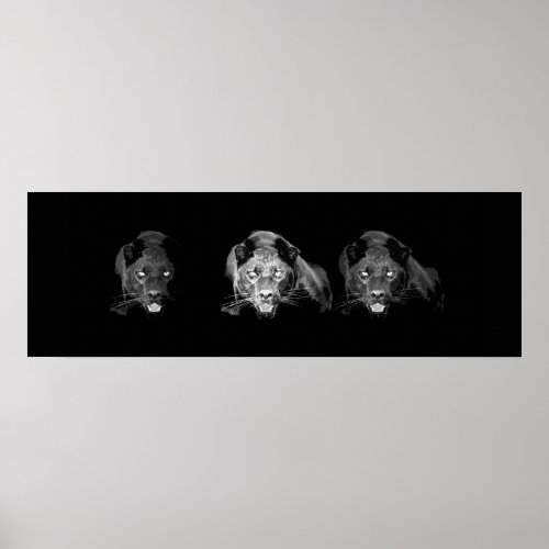 Wild Black Jaguar Cat Eyes Poster