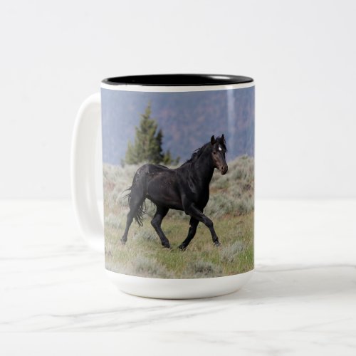 Wild Black Stallion Mug