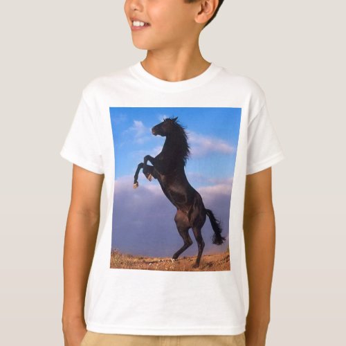 Wild Black Stallion Rearing Horse T_Shirt