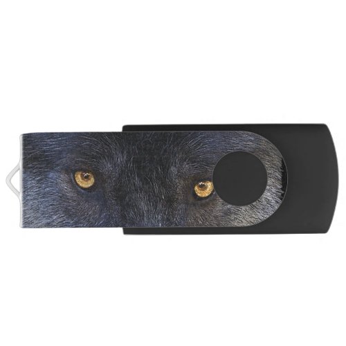 Wild Black Wolf Eyes Wildlife Art Flash Drive