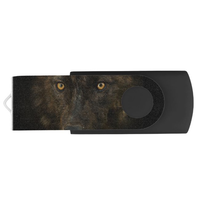 Wild Black Wolf Wildlife Flash Drive (Back)