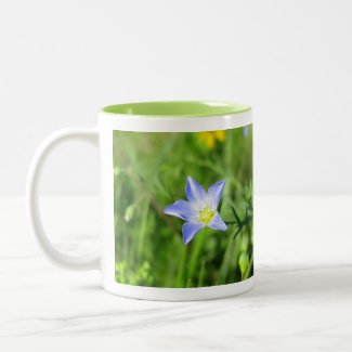 Wild Blue Flax Flower Two-Tone Coffee Mug