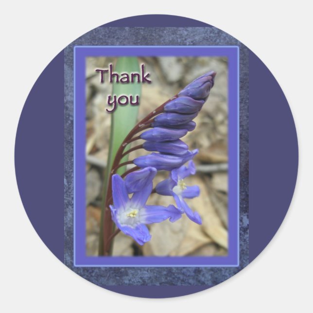 Wild Blue Hyacinth Thank You Classic Round Sticker (Front)