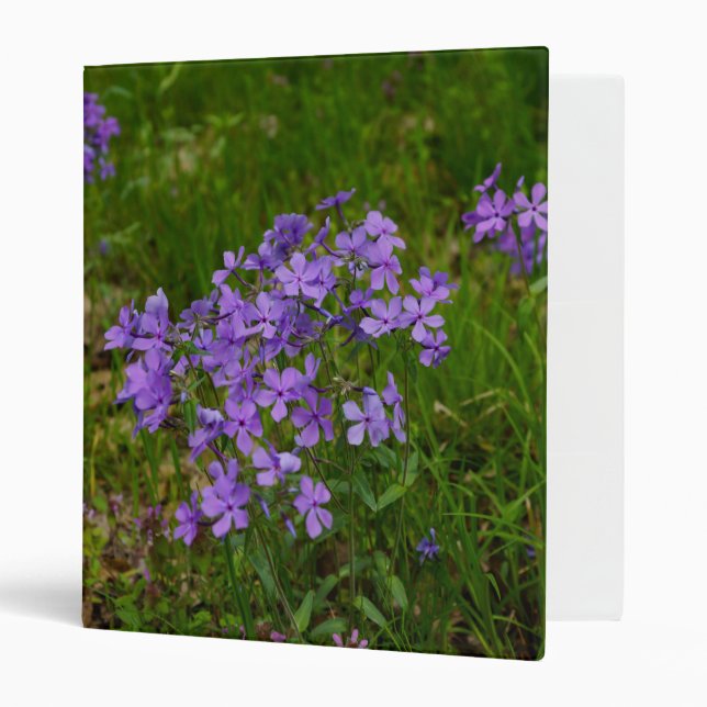 Wild Blue Phlox 3 Ring Binder (Front/Inside)