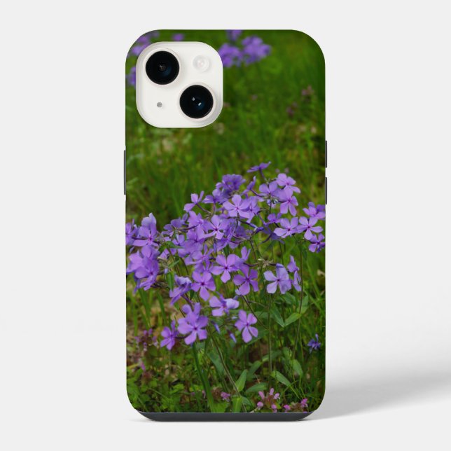 Wild Blue Phlox iPhone Case (Back)