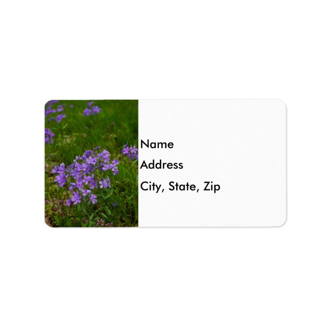 Wild Blue Phlox Label (Front)