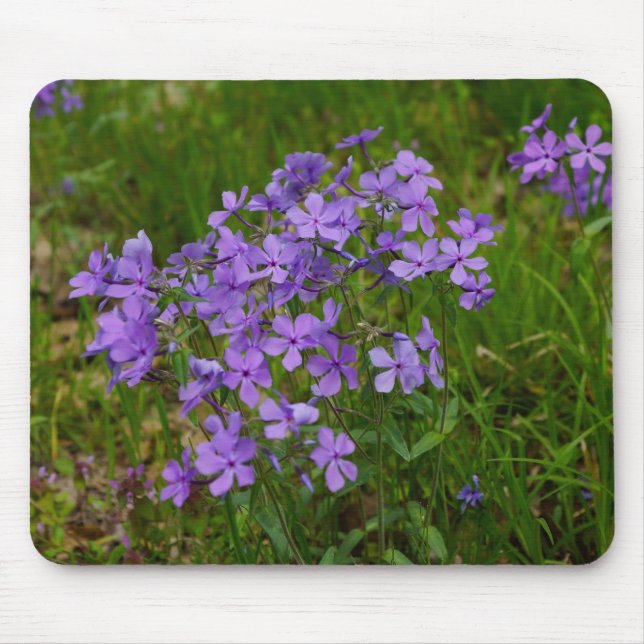 Wild Blue Phlox Mouse Pad (Front)