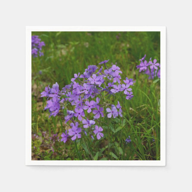 Wild Blue Phlox Napkins (Front)