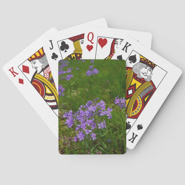 Wild Blue Phlox Poker Cards (Back)
