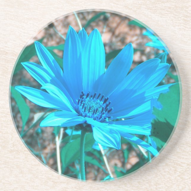 Wild Blue Sunflower Coaster (Front)