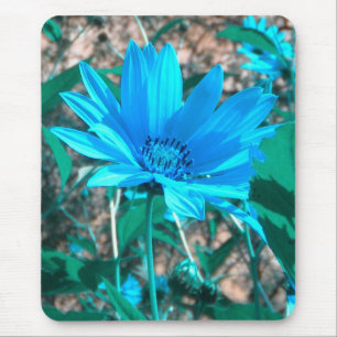 Wild Blue Sunflower Mousepad