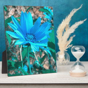 Wild Blue Sunflower photo plaque