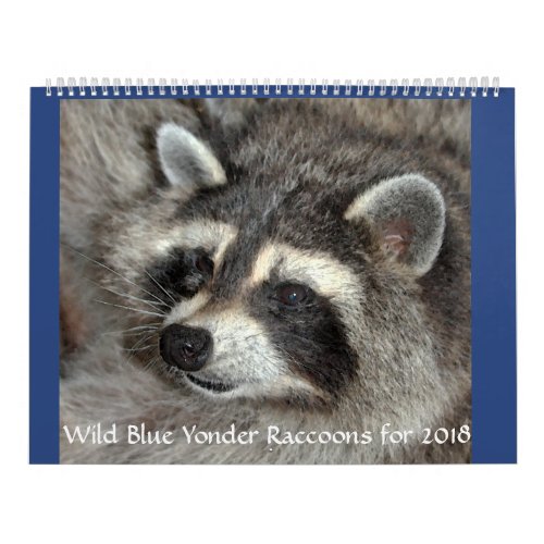 Wild Blue Yonder Raccoons of 2018 Calendar