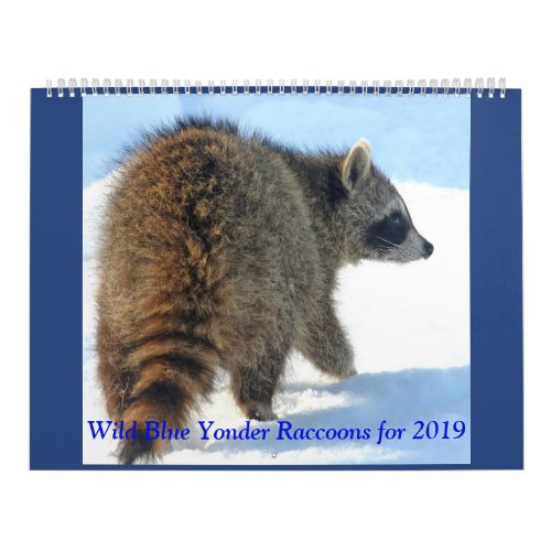 Wild Blue Yonder Raccoons of 2019 Calendar