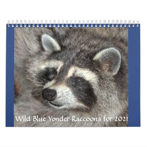 Wild Blue Yonder Raccoons of 2021 Calendar