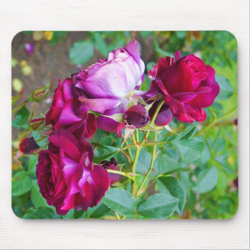 Wild Blue Yonder Rose 1 Mouse Pad