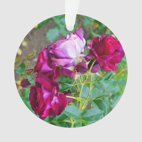 Wild Blue Yonder Rose 1 Ornament