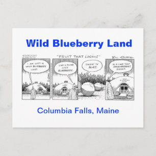 Wild Blueberry Land Postcard