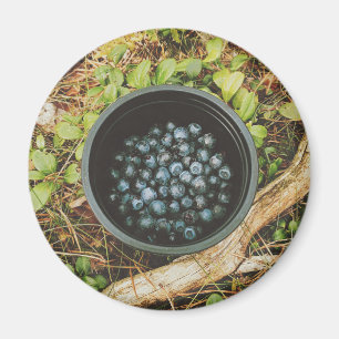 Wild Blueberry Picking Magnet