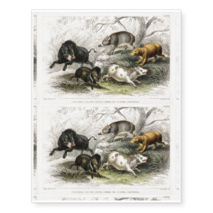 Wild Boar, Collared Peccary, Chinese Sow, Capibara Temporary Tattoos