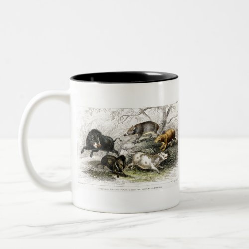 Wild Boar Collared Peccary Chinese Sow Capibara Two_Tone Coffee Mug